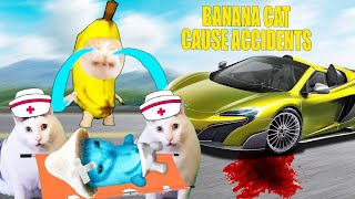 BANANA CATS CAUSE ACCIDENTS| HAPPY CAT MEME 56
