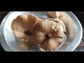 Cooking Delicious Local Kalunge Black Color Mushroom. Rare Black Colour Mushroom Easy Recipe