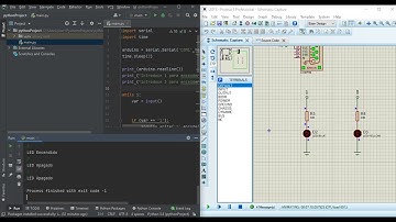 CONEXION PYTHON PROTEUS