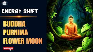 Twin Flame Karmic Release phase | Energy shift | Buddha Purnima Portal 🌕