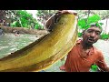 Country Fish | Amazing Big Catfish | Fishermen Great Fish Catching.