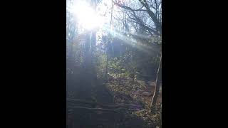 Nature Is Wonderful Thanks To Forestexploration2011 For The Pics