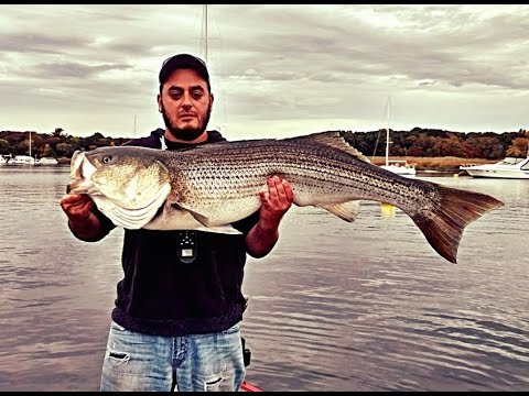 Striper fishing merrimack river Clearance