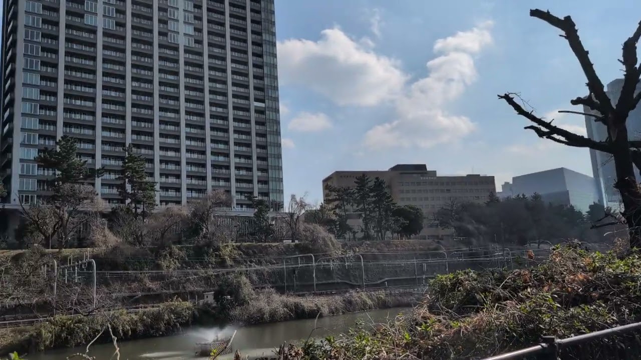 神楽坂　東京理科大学　法政大学