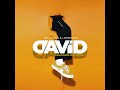 Mr JazziQ & LeeroSoul - David (Official Audio)