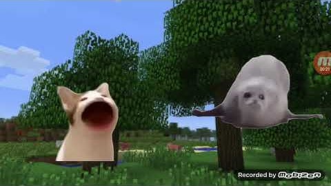 Bouncing Seal vs Pop Cat Ultimate Minecraft Part 2