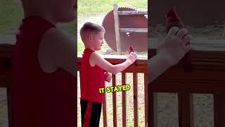Download Lagu This Bird is His Father 🥺 MP3 Download Lagu This Bird is His Father 🥺 MP3