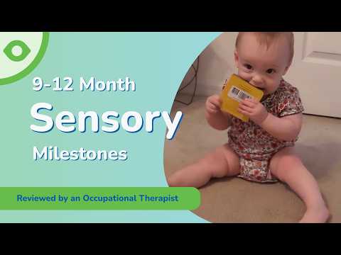 What Your Baby Should See & Feel by Their First Birthday 🎂