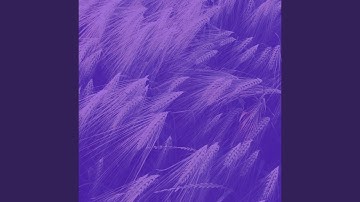 Remarkable Backdrops for Deep Focus