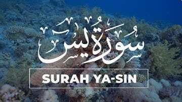 Best Surah Yasin Full (Yaseen) سورة يس | Tranquility Marvelous Beautiful Voice | QURAN ZIKR