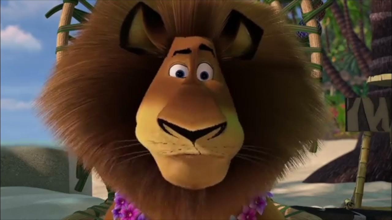 мадагаскар джан мадагаскар 2005. мадагаскар 2 2008. дримворкс мадагаскар 3. любимая песня мадагаскар. мадагаскар 2 марти.