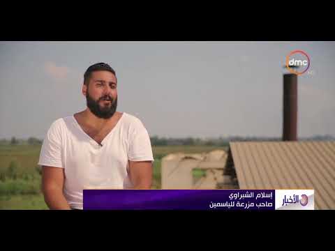 الأخبار قرى بمركز قطور في محافظات الغربية تنتج نحو 50 من احتياجات العالم من الزيوت العطرية