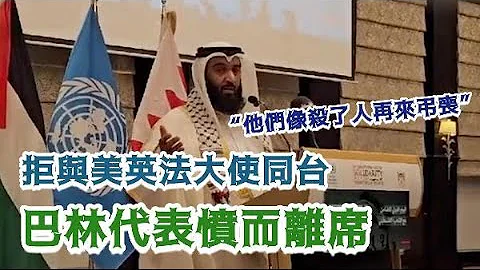 美英法大使竟出现在声援巴勒斯坦人民的活动上　巴林代表愤而离席 - 天天要闻