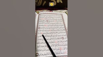 سورة الزمر آية 8 الشيخ ياسر الدوسري #القرآن_الكريم#quran 🥲