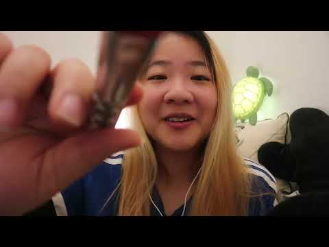ASMR in French 🇫🇷