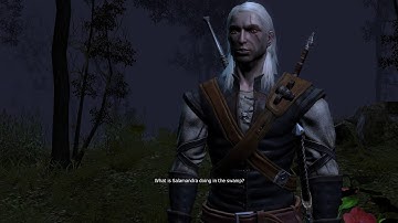 THE WITCHER - enhanced edition - PART 25
