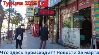 :  2025.  25 .