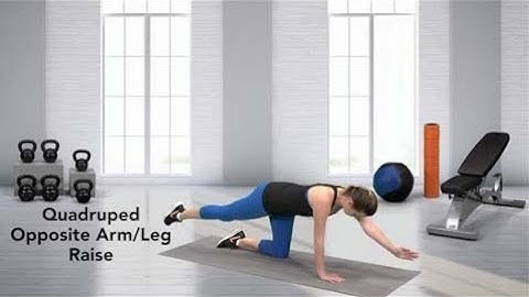 How to do a Quadruped Opposite Arm/Leg Raise