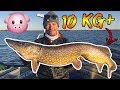 4 BIG LAKE tips you SHOULD KNOW for 10kg+ PIKE | Team Galant (English Subtitles)