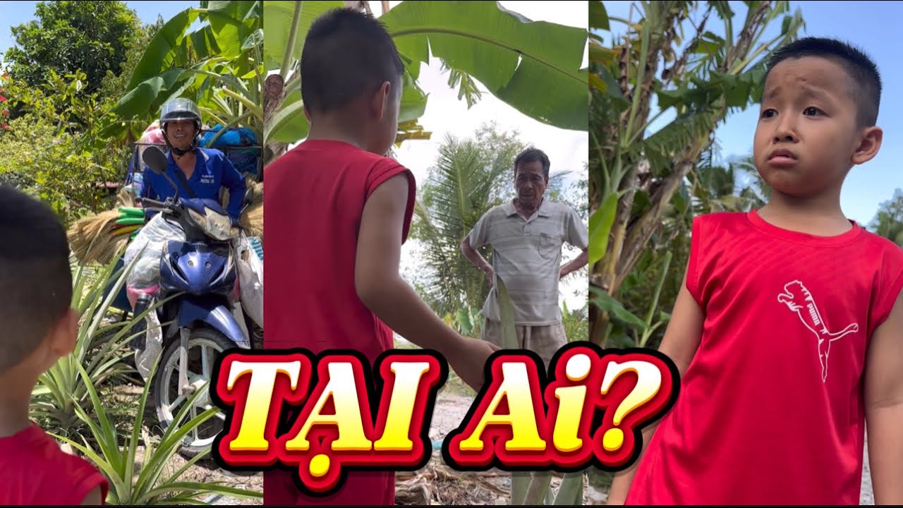 Tại ai?#socmintv#funny#haihuoc#giaitri