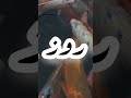 شعر بأسم روز روز شعر بأسم روز روز