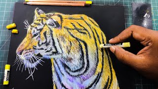 Tiger drawing step by step with soft pastels | animal drawing | P V Hanumanthu Art screenshot 3