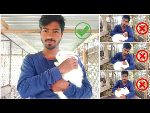 वीडियो: खरगोश को कैसे पकड़ें: 7 कदम