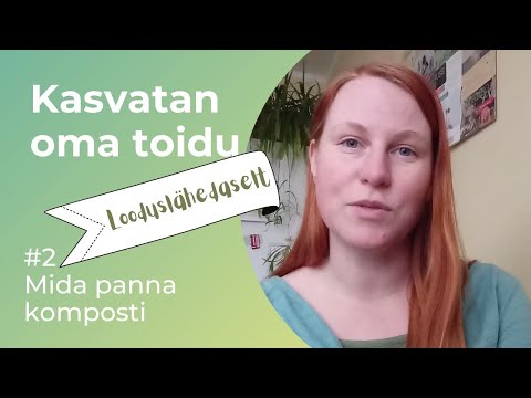 Video: 9 Toitu, Mida Peaksite Täielikult Küpsetama