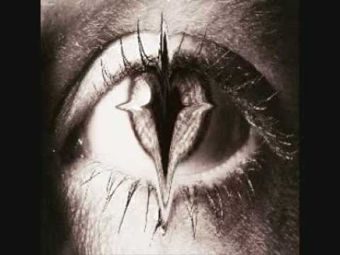 ikarus - mr. brown