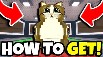How To GET MEOWL in Steal A Brainrot! (ROBLOX)