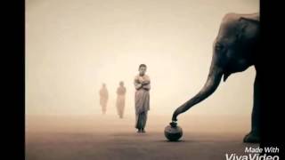 Müthiş Bir 15 Saniye