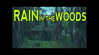 The Soothing Sound Of Heavy Rain : A tranquil ambiance Worth Listening by ContentRains 34 views 7 months ago 3 hours, 10 minutes