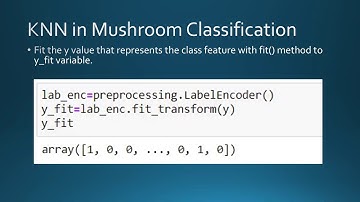 Mushroom Classification, Group Sandslash, KNN: Explained