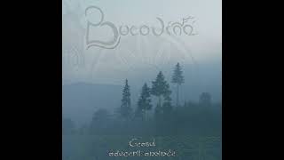 Bucovina - Vinterdøden