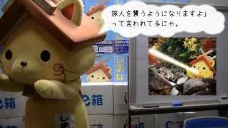 しまねっこにゅーす 2013/11/08 しまねっこにゅーす 2013/11/08