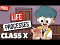 Life processes class 10 full chapter  animation   one shot