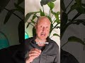 Was tun, BEVOR du in Altcoins investierst?