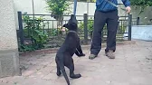Сергей Ахтырец