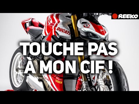 INTERFILES MENACÉE, DUCATI SUPREME, CFMOTO, 765 SR R 🔴 REEKO Unchained MOTOR NEWS