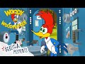 Woody&#39;s Tricky Time Machine! | Woody Woodpecker | Full Episodes | Mega Moments