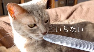 ねこじゃすりでじゃすらせない猫 | #モアクリ Vlog038