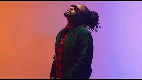 Wale On Chill ft Jeremih ( Official Audio)