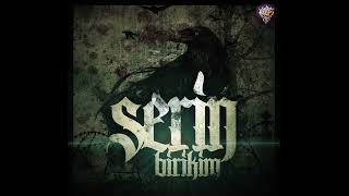 Serin - Ajan Birikim