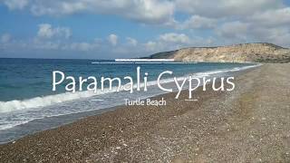 Paramali Turtle Beach Cyprus