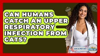 Can Humans Catch An Upper Respiratory Infection From Cats? - Ask A Pet Vet