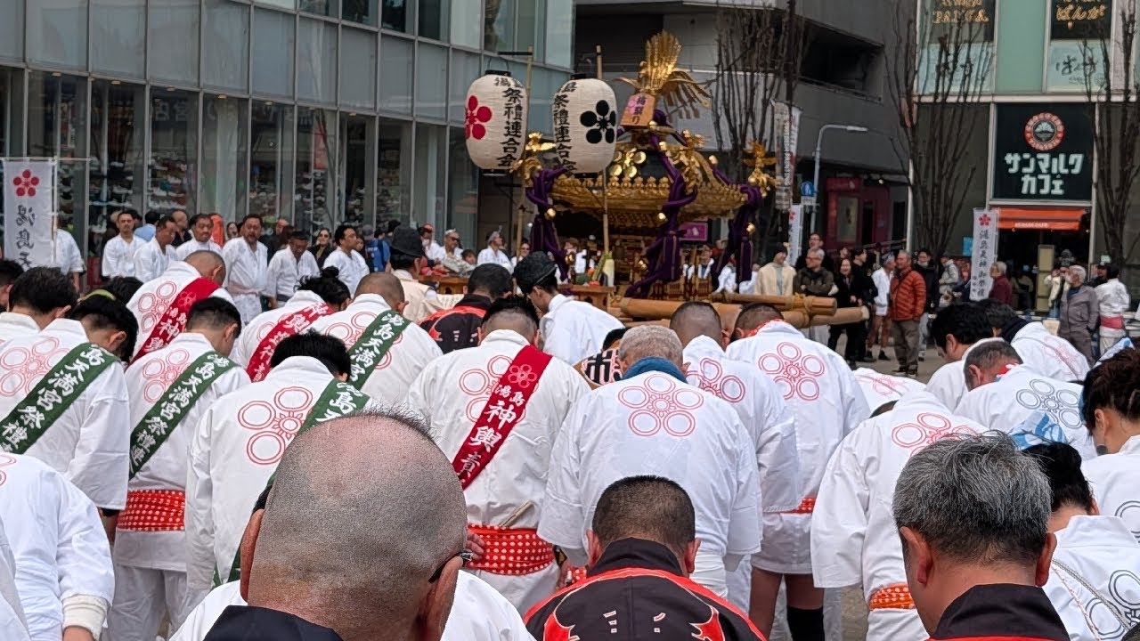 【高画質FHDお散歩ライブカメラ】第69回　湯島天神（文京区）　梅まつり　神輿の渡御【live camera】2026/02/22