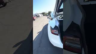 Pl630853 walk around video