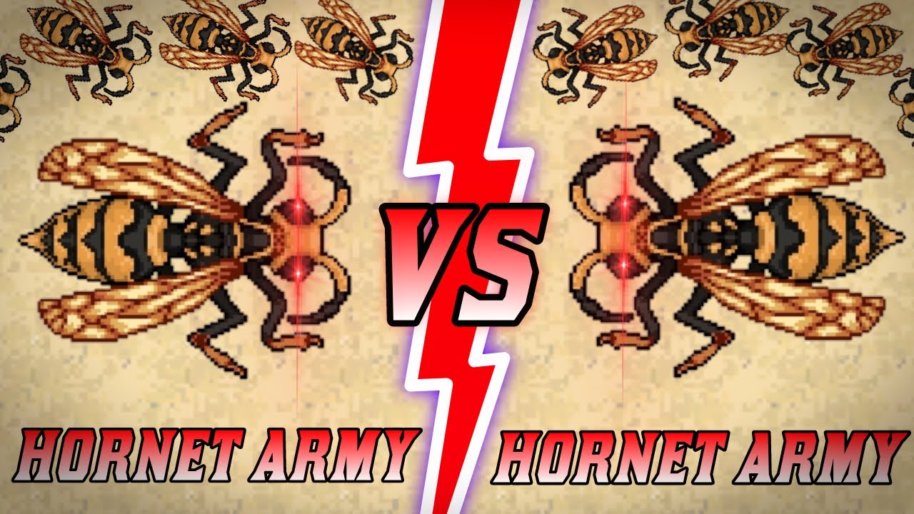 Army vs Army ! Pocket Ants YouTube