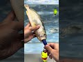 Kanama Smart Bait - Stop Fishing Dead—Make Your Baitfish Swim.