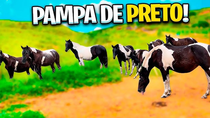 CAVALO PULANDO sem CABRESTO * Caiu? 